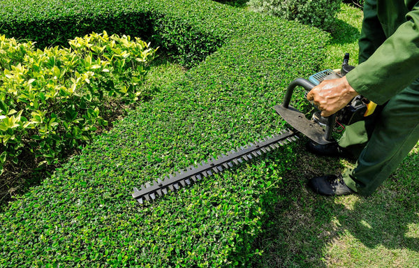 ENTRETIEN DE JARDIN