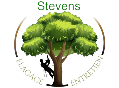 M.STEVENS